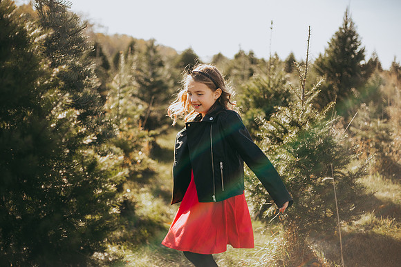 Tree Farm-56