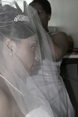 ceremony 240