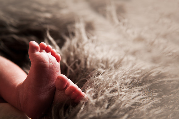 Reed Newborn-24