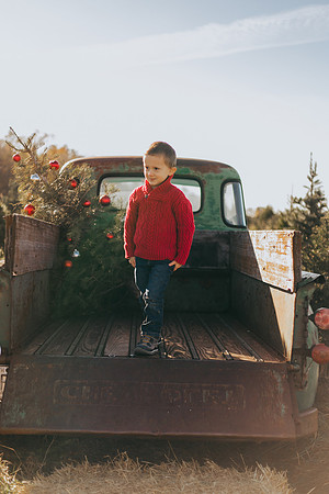 Tree Farm-40
