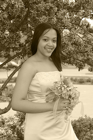 ceremony 174sepia