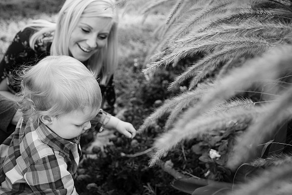Family 2017-249