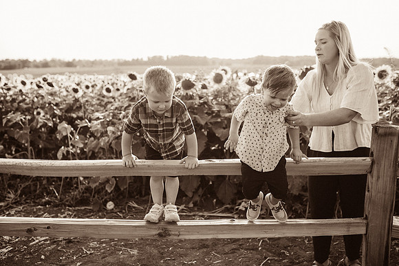 xSunflowers-171