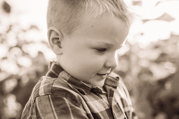 xSunflowers-163