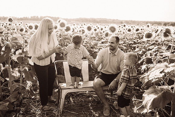 xSunflowers-96