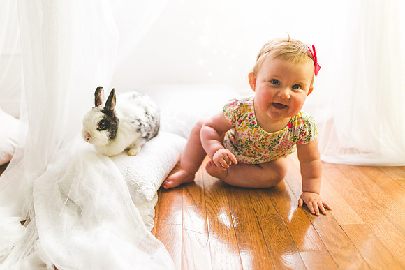 Bunnies 2019-44