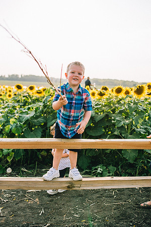 Sunflowers-169