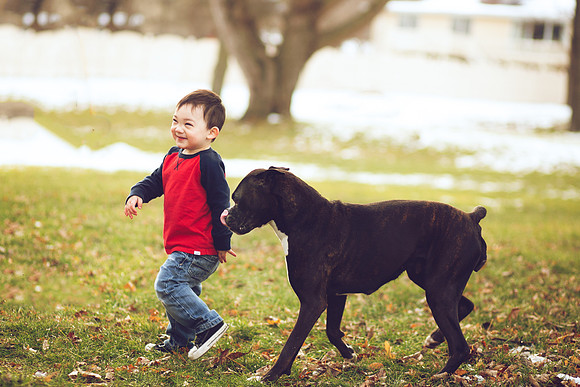 Puppies 2020-24