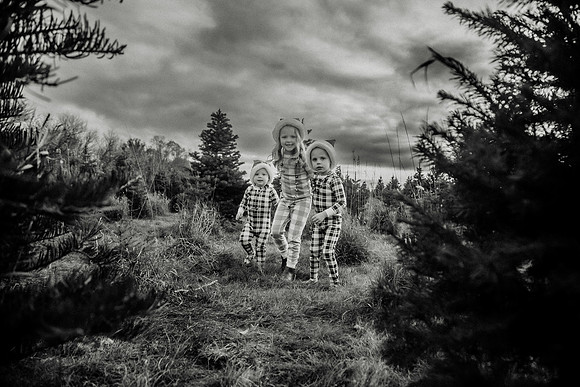 xTree Farm 2024-108