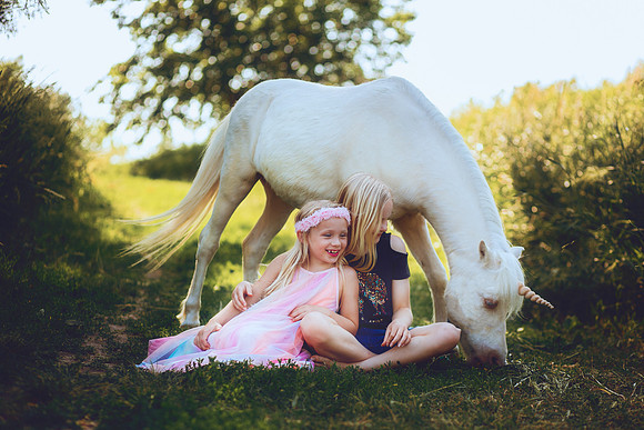 Unicorn-24