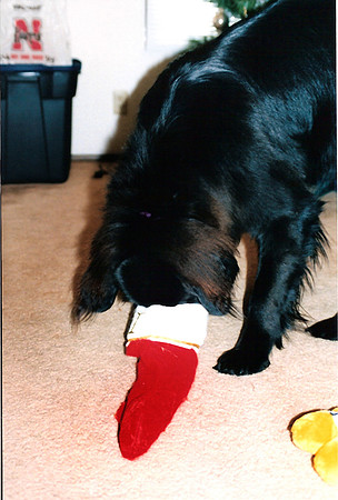 Loki 063
