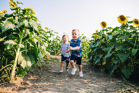 Sunflowers-54