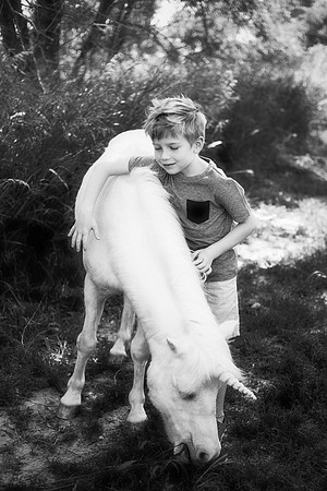 xUnicorn-8