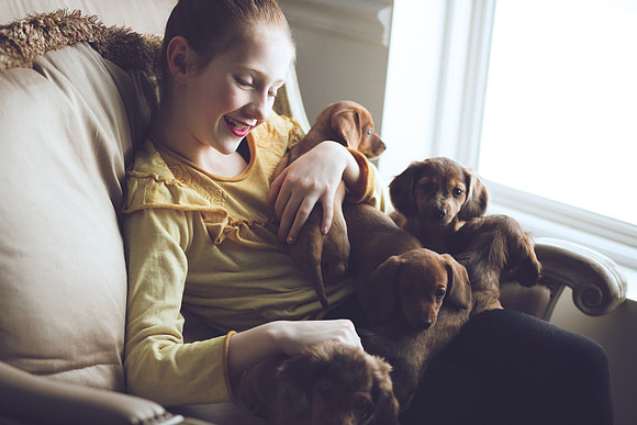 Puppies_-43