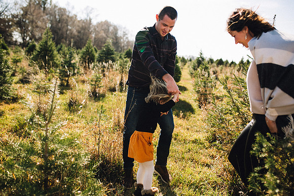 Tree Farm 2020-30