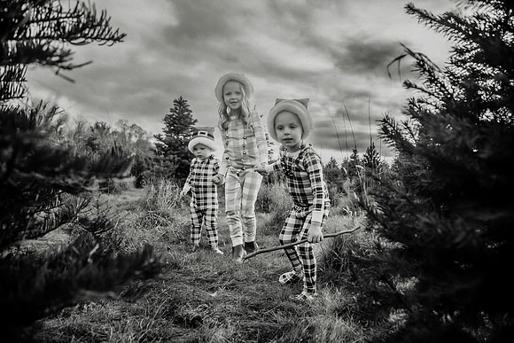 xTree Farm 2024-112