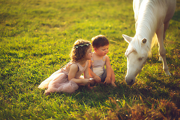 Unicorn-23