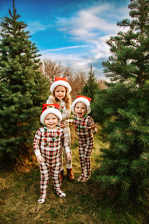 Tree Farm 2024-34
