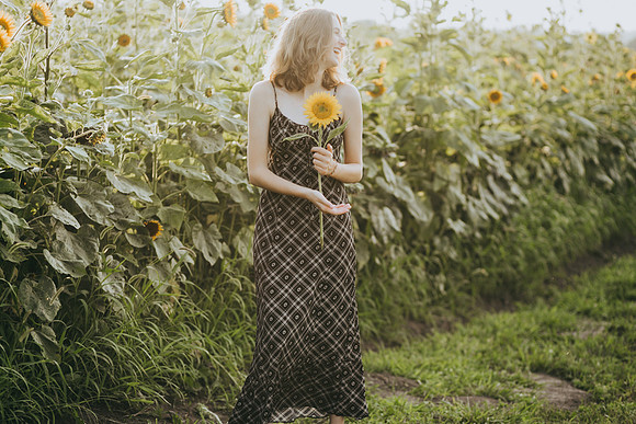Sunflowers 2021-60