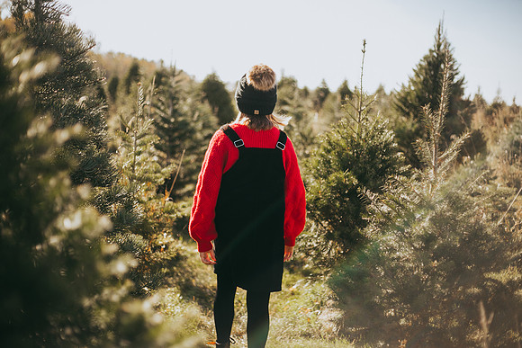Tree Farm-33