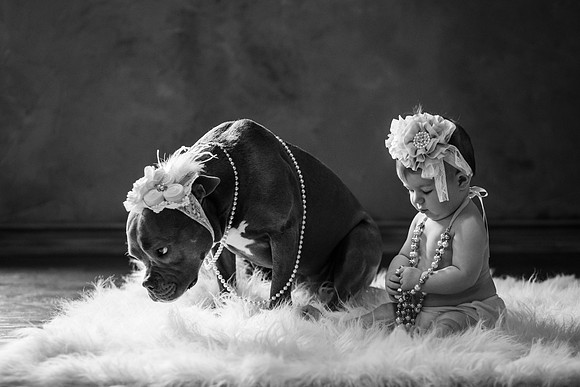 xMara 6mth-91
