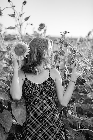 xSunflowers 2021-63