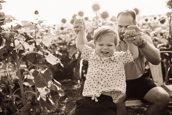 xSunflowers-119