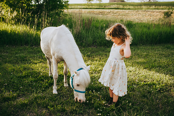 Pony 2021-26