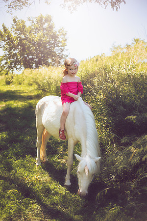 Unicorn-29