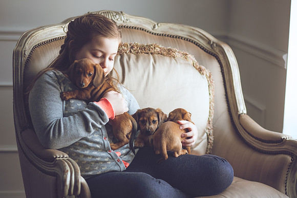 Puppies_-33