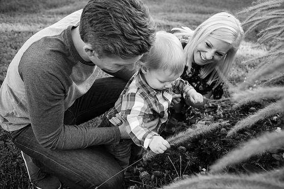 Family 2017-245