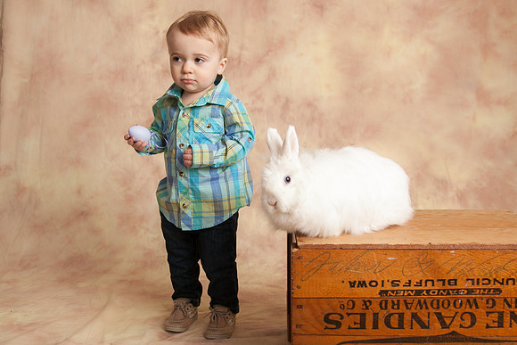 Bunny-2016-36