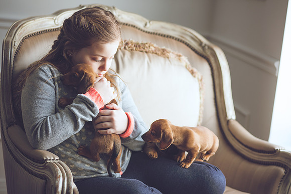 Puppies_-28