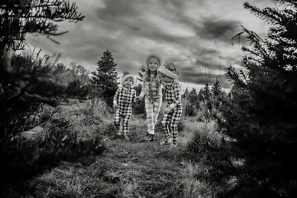 xTree Farm 2024-110