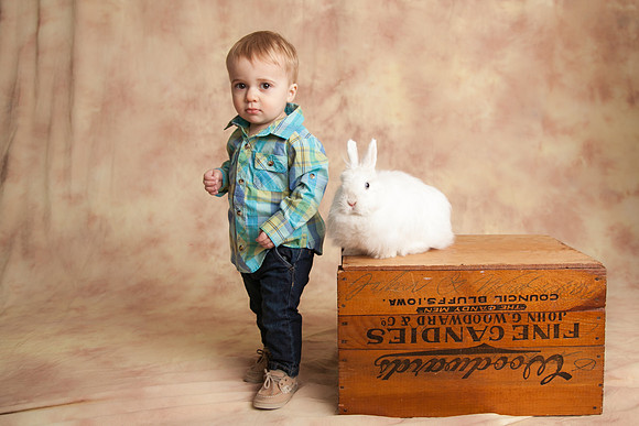 Bunny-2016-35