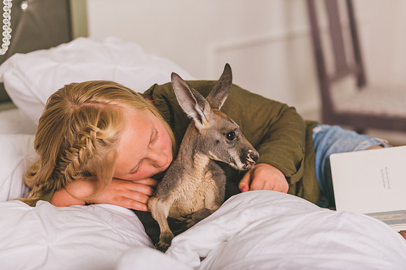 xWildlife 2019-42