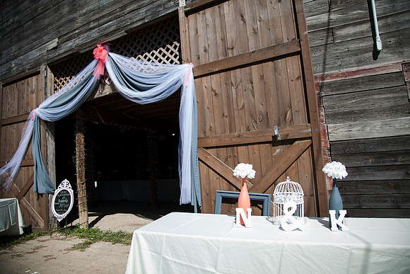 Wedding (399 of 2031)