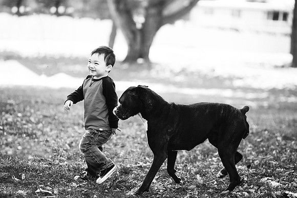 xPuppies 2020-24