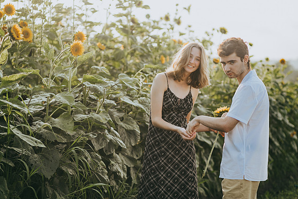Sunflowers 2021-46
