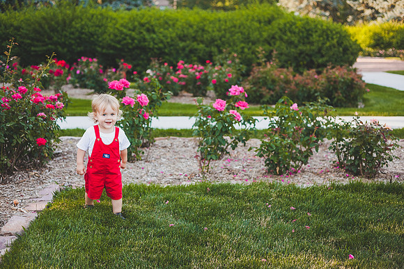 Zeek 1yr-2