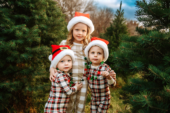Tree Farm 2024-27