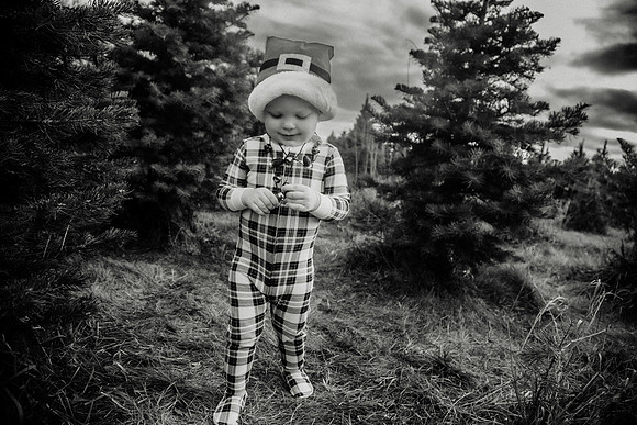 xTree Farm 2024-76