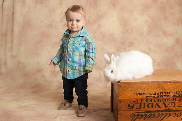 Bunny-2016-40
