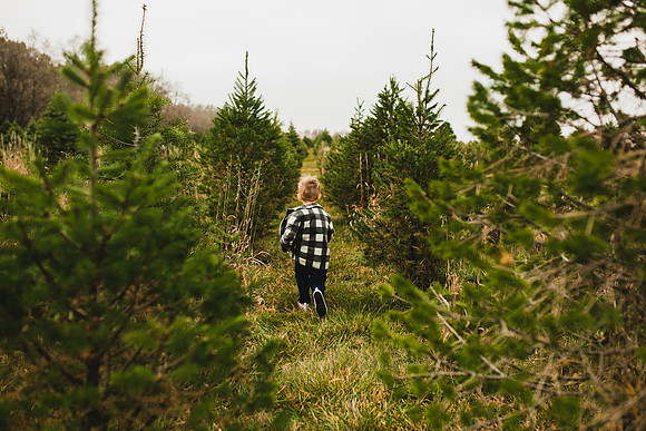 Tree Farm 2020-31