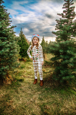Tree Farm 2024-59