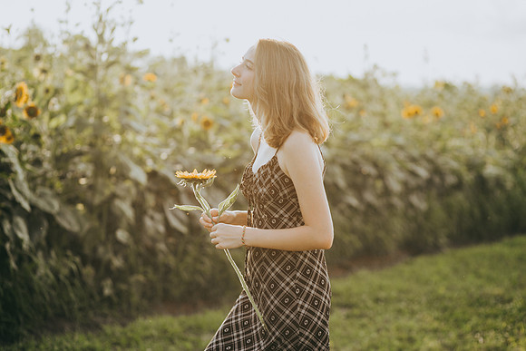 Sunflowers 2021-59