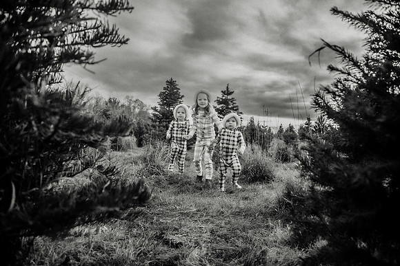 xTree Farm 2024-122