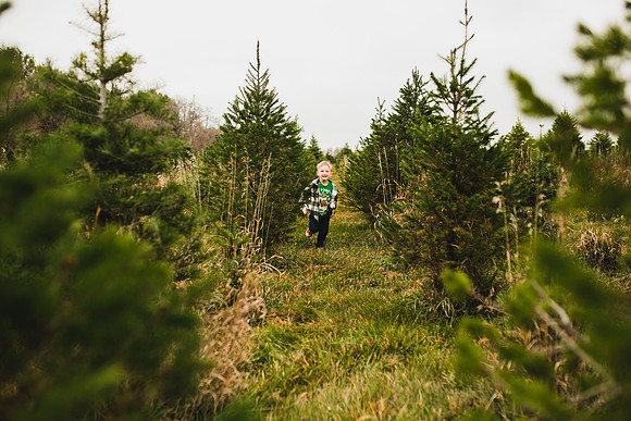 Tree Farm 2020-32
