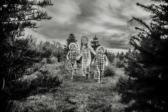 xTree Farm 2024-123