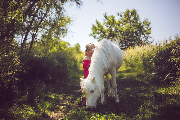 Unicorn-26